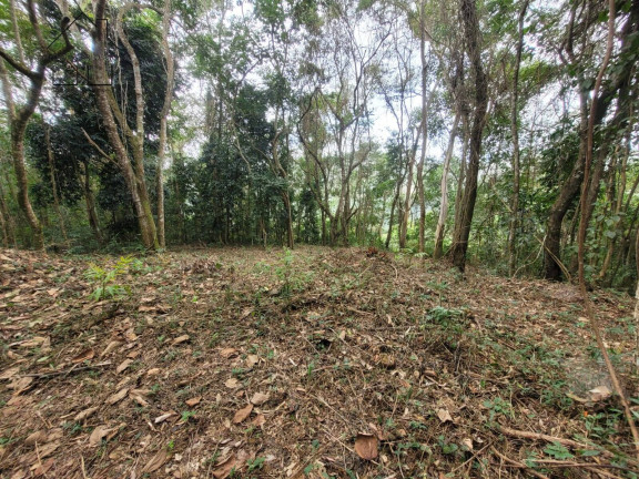 Imagem Chácara à Venda, 56 m² em Cachoeira Abaixo - Piracaia Imagem Chácara à Venda, 56 m² em Cachoeira Abaixo - Piracaia