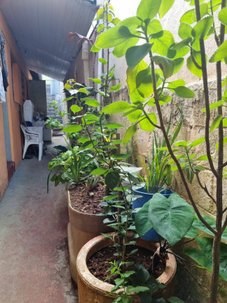 Imagem Casa com 2 Quartos à Venda, 250 m² em Taboão - Diadema