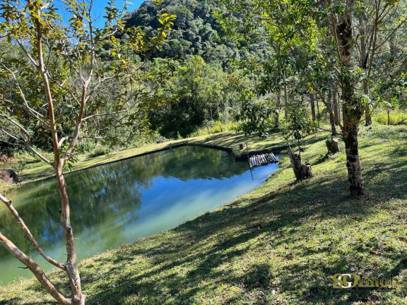 Imagem Chácara com 4 Quartos à Venda, 52.000 m² em Miracatu