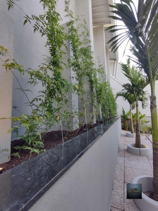 Imagem Casa com 3 Quartos à Venda, 300 m² em Jardim Palmares - Valinhos Imagem Casa com 3 Quartos à Venda, 300 m² em Jardim Palmares - Valinhos