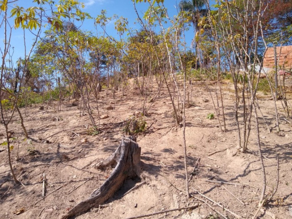 Imagem Terreno à Venda, 500 m² em Bandeirinhas - Betim Imagem Terreno à Venda, 500 m² em Bandeirinhas - Betim
