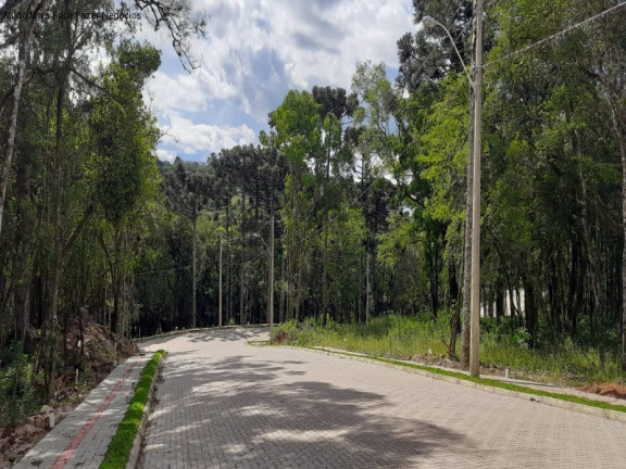 Imagem Terreno à Venda, 364 m² em Linha Imperial - Nova Petrópolis
