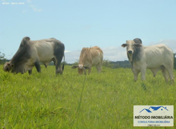 Imagem Fazenda à Venda, 14.000 m² em Fazenda - Bonito De Minas Imagem Fazenda à Venda, 14.000 m² em Fazenda - Bonito De Minas