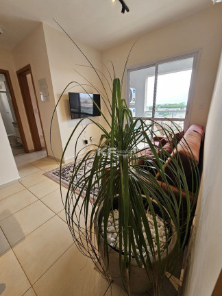 Imagem Apartamento com 2 Quartos à Venda, 55 m² em Jardim Palma Travassos - Ribeirão Preto Imagem Apartamento com 2 Quartos à Venda, 55 m² em Jardim Palma Travassos - Ribeirão Preto