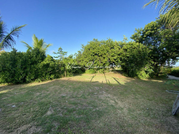 Imagem Casa com 4 Quartos à Venda, 300 m² em Praia Do Forte - Mata De São João Imagem Casa com 4 Quartos à Venda, 300 m² em Praia Do Forte - Mata De São João