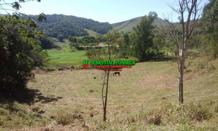 Imagem Chácara à Venda, 6.000 m² em Bairro Dos Pinheiros - Natividade Da Serra Imagem Chácara à Venda, 6.000 m² em Bairro Dos Pinheiros - Natividade Da Serra