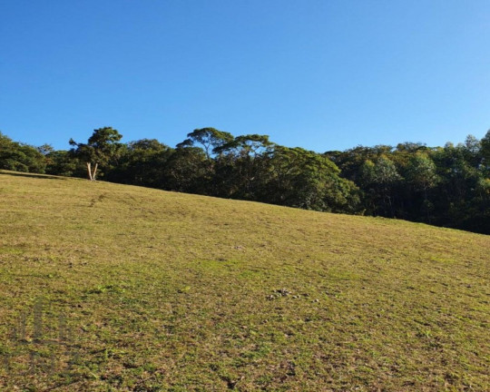 Imagem Imóvel com 1 Quarto à Venda, 96.000 m² em Dom Joaquim - Brusque