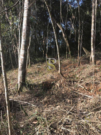 Imagem Terreno à Venda, 1.500 m² em Mairiporã - Mairiporã Imagem Terreno à Venda, 1.500 m² em Mairiporã - Mairiporã