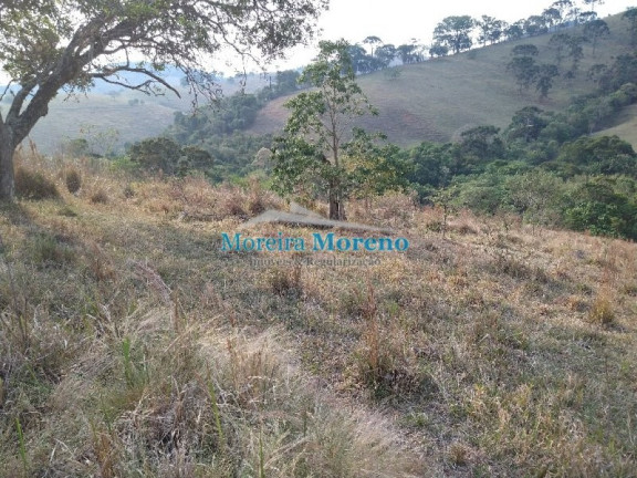 Imagem Imóvel à Venda, 1 m² em Zona Rural - Borda Da Mata Imagem Imóvel à Venda, 1 m² em Zona Rural - Borda Da Mata