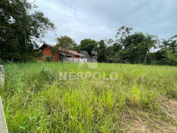 Imagem Terreno à Venda, em Praia Do Estaleiro - Balneario Camboriu Imagem Terreno à Venda, em Praia Do Estaleiro - Balneario Camboriu