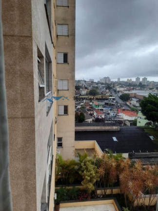 Imagem Apartamento com 3 Quartos à Venda, 72 m² em Baeta Neves - São Bernardo Do Campo Imagem Apartamento com 3 Quartos à Venda, 72 m² em Baeta Neves - São Bernardo Do Campo