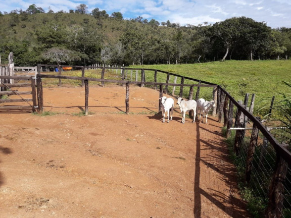 Imagem Imóvel à Venda,  em Palmas - To - Palmas