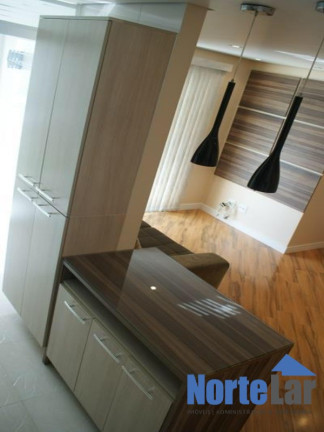 Imagem Apartamento com 3 Quartos à Venda, 63 m² em Vila Amélia - São Paulo