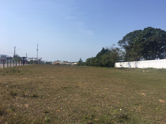 Imagem Terreno à Venda, 3.150 m² em São João Do Rio Vermelho - Florianópolis Imagem Terreno à Venda, 3.150 m² em São João Do Rio Vermelho - Florianópolis