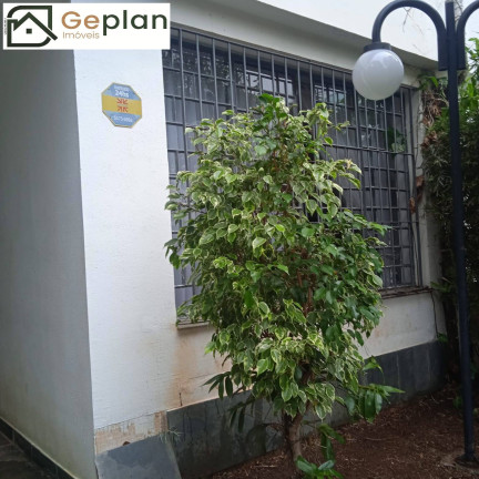 Imagem Casa com 3 Quartos à Venda, 171 m² em Jardim Da Gloria - São Paulo Imagem Casa com 3 Quartos à Venda, 171 m² em Jardim Da Gloria - São Paulo