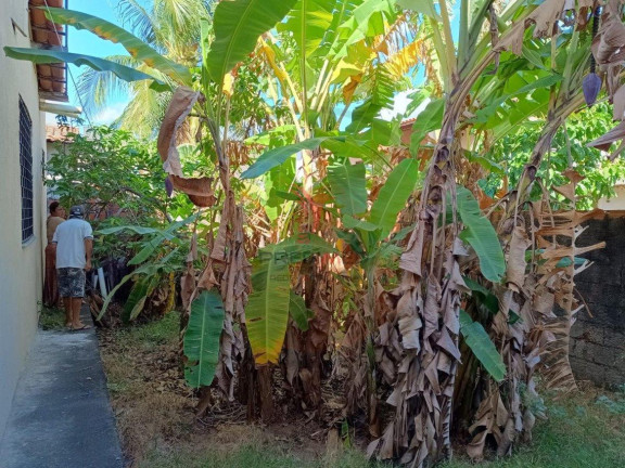Imagem Casa com 2 Quartos à Venda, 200 m² em Vila Velha - Fortaleza Imagem Casa com 2 Quartos à Venda, 200 m² em Vila Velha - Fortaleza