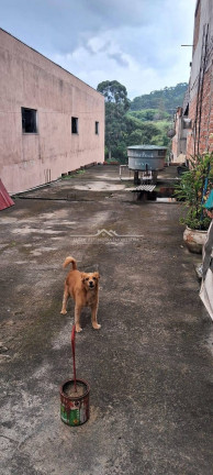 Imagem Terreno à Venda, 190 m² em Jardim Santa Terezinha (zona Leste) - São Paulo Imagem Terreno à Venda, 190 m² em Jardim Santa Terezinha (zona Leste) - São Paulo