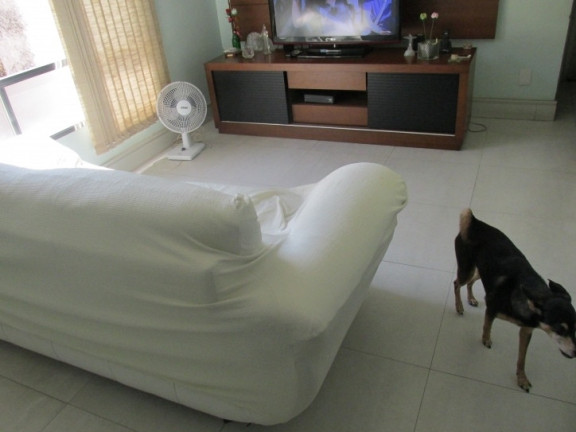 Imagem Apartamento com 2 Quartos à Venda, 90 m² em Aparecida - Santos