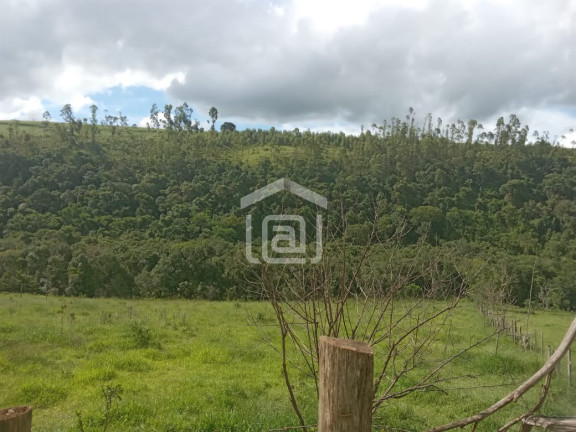 Imagem Imóvel com 1 Quarto à Venda, 2 m² em Milho Verde (rural) - Campestre Imagem Imóvel com 1 Quarto à Venda, 2 m² em Milho Verde (rural) - Campestre