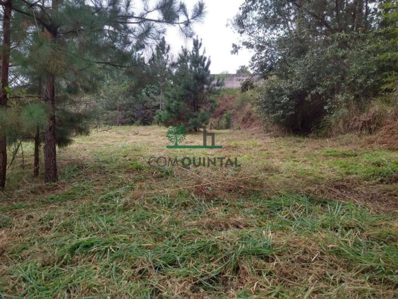 Imóvel Comercial à Venda, 10 m² em Jardim Guerreiro - Cotia