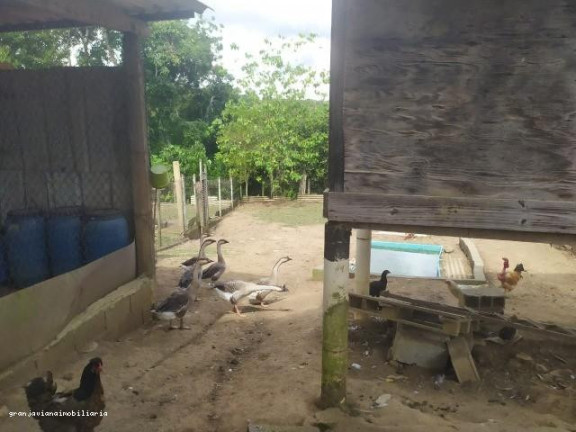Imagem Chácara à Venda,  em Bairro Da Vargem Do Salto - Ibiúna