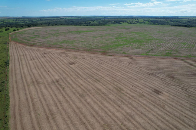 Imagem Fazenda à Venda, 74 m² em Zona Rural - Prata