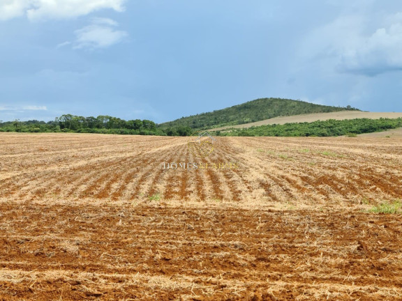 Imagem Imóvel com 3 Quartos à Venda, 1.349 m² em Centro - Primavera Do Leste Imagem Imóvel com 3 Quartos à Venda, 1.349 m² em Centro - Primavera Do Leste