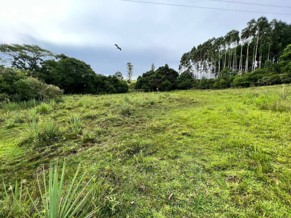 Imagem Chácara à Venda, 3 m² em Morungava - Gravataí Imagem Chácara à Venda, 3 m² em Morungava - Gravataí