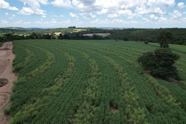 Imagem Chácara à Venda, 16 m² em Zona Rural - Cajuru Imagem Chácara à Venda, 16 m² em Zona Rural - Cajuru
