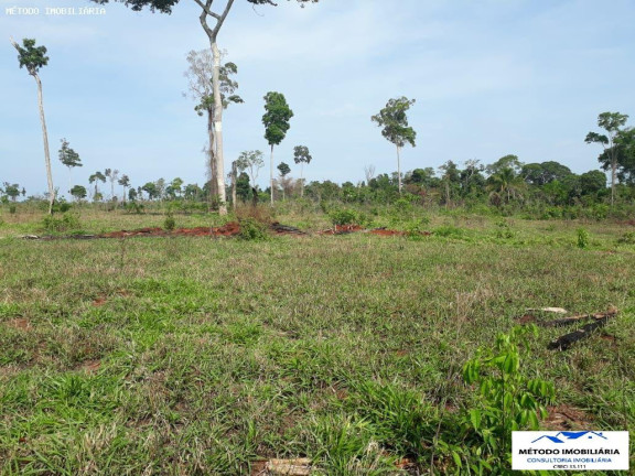 Imagem Fazenda à Venda, 1.050 m² em Rural - Juína Imagem Fazenda à Venda, 1.050 m² em Rural - Juína