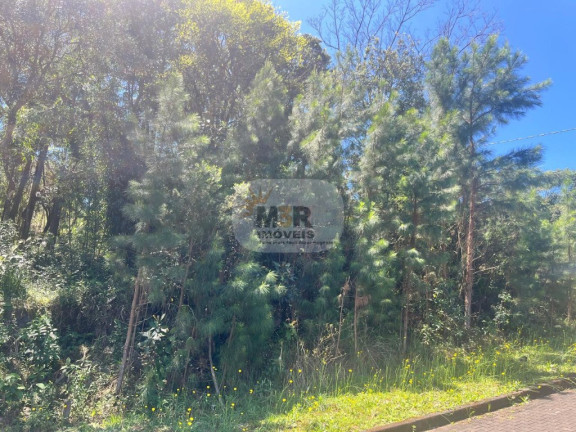 Imagem Terreno à Venda, 450 m² em Linha Imperial - Nova Petrópolis