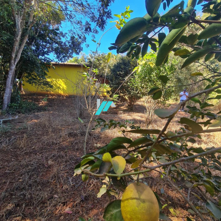 Imagem Fazenda à Venda, 1.000 m² em Santa Terezinha - Itatiaiuçu Imagem Fazenda à Venda, 1.000 m² em Santa Terezinha - Itatiaiuçu