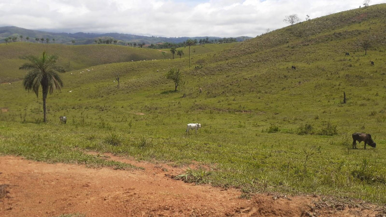 Imagem Fazenda à Venda, 1.950 m² em Centro - Córrego Danta Imagem Fazenda à Venda, 1.950 m² em Centro - Córrego Danta