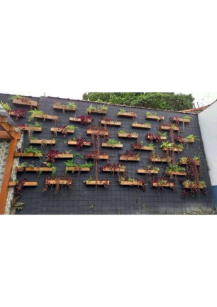Imagem Casa com 3 Quartos à Venda, 286 m² em Interlagos - São Paulo