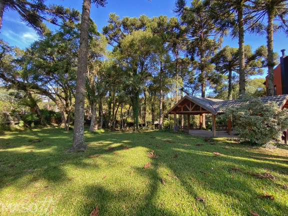 Imagem Casa com 3 Quartos à Venda, 35.747 m² em Bosque Sinoserra - Canela Imagem Casa com 3 Quartos à Venda, 35.747 m² em Bosque Sinoserra - Canela