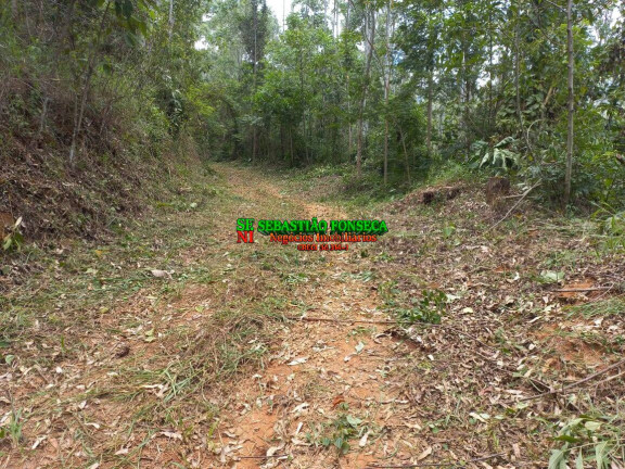 Imagem Chácara à Venda, 30.000 m² em Centro - Monteiro Lobato Imagem Chácara à Venda, 30.000 m² em Centro - Monteiro Lobato