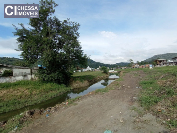 Imagem Terreno à Venda, 33.367 m² em Espinheiros - Itajaí