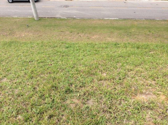 Imagem Terreno à Venda, 500 m² em Santa Adélia - Vargem Grande Paulista