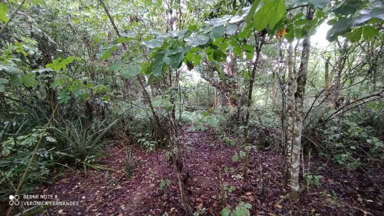 Imagem Terreno à Venda, 5.000 m² em Aldeia Dos Camarás - Camaragibe Imagem Terreno à Venda, 5.000 m² em Aldeia Dos Camarás - Camaragibe