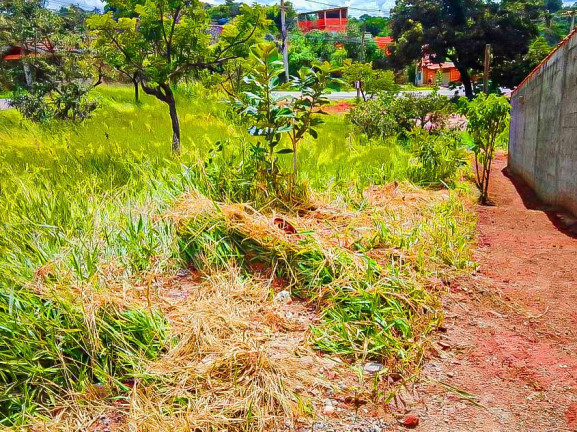 Imagem Imóvel à Venda, 282 m² em Vila Primavera - Jarinu Imagem Imóvel à Venda, 282 m² em Vila Primavera - Jarinu