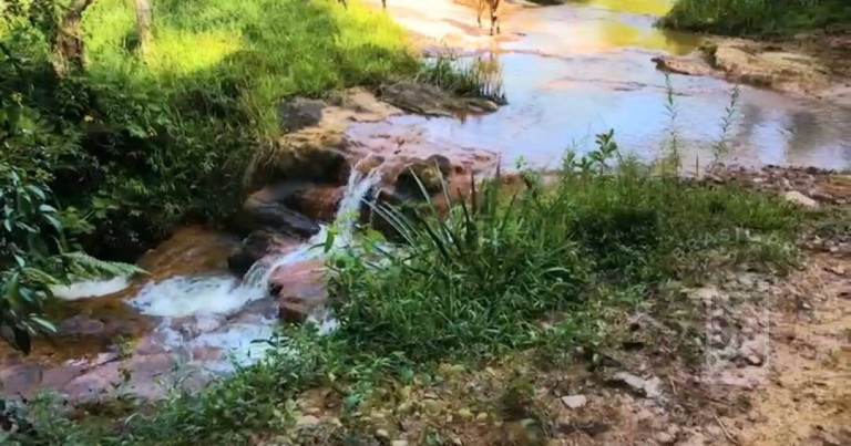 Imagem Fazenda à Venda, 2 m² em Centro - São José Dos Campos Imagem Fazenda à Venda, 2 m² em Centro - São José Dos Campos