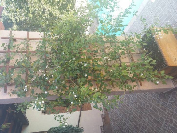 Imagem Chácara com 5 Quartos à Venda, 791 m² em Bairro Da Mina - Itupeva