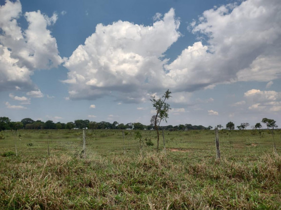 Imagem Fazenda à Venda, 3.400 m² em Rural - Campo Grande Imagem Fazenda à Venda, 3.400 m² em Rural - Campo Grande