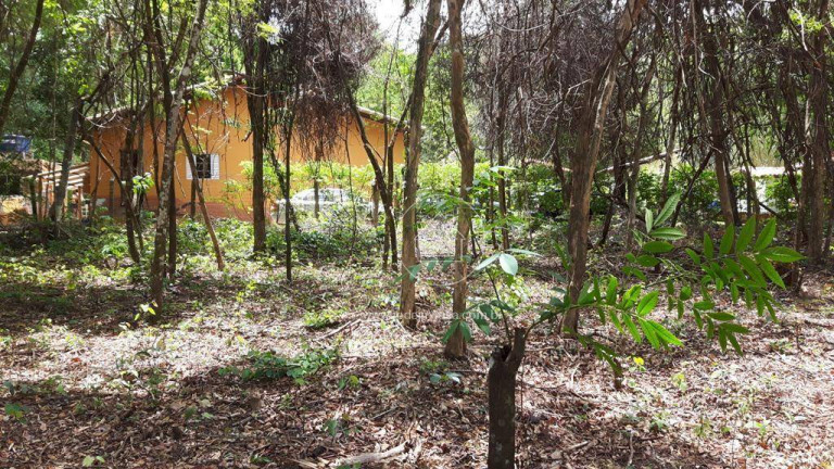 Imagem Terreno em Condomínio à Venda, 1.000 m² em Condomínio Recanto Da Serra - Brumadinho Imagem Terreno em Condomínio à Venda, 1.000 m² em Condomínio Recanto Da Serra - Brumadinho