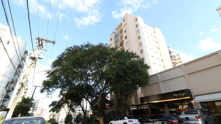 Imagem Apartamento com 2 Quartos à Venda, 56 m² em Vila Mascote - São Paulo