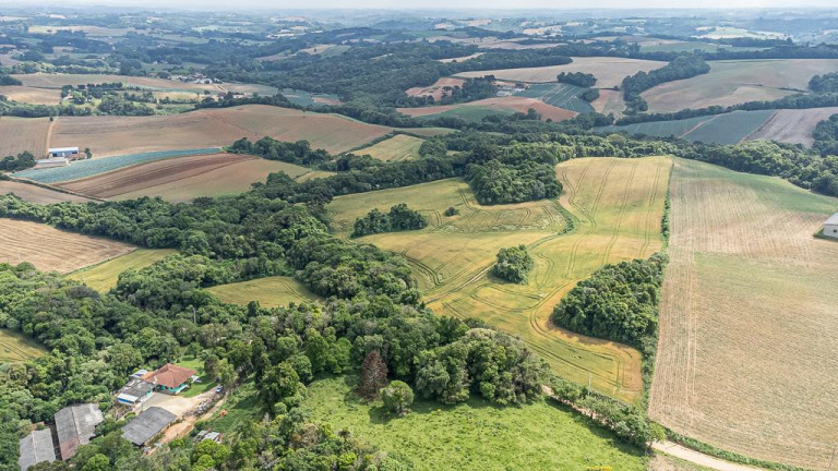 Imagem Terreno à Venda, 145.200 m² em Vila Dom Pedro Ii - Campo Largo