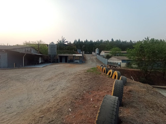Imagem Imóvel à Venda, 6 m² em Boa Vista Dos Silva - Bragança Paulista Imagem Imóvel à Venda, 6 m² em Boa Vista Dos Silva - Bragança Paulista