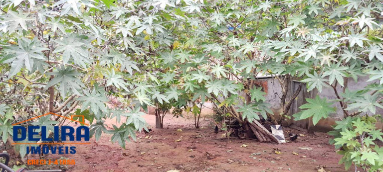 Terreno à Venda, 350 m² em Cardoso (terra Preta) - Mairiporã
