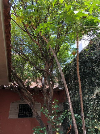 Imagem Casa à Venda, 358 m² em Setor Marista - Goiânia Imagem Casa à Venda, 358 m² em Setor Marista - Goiânia