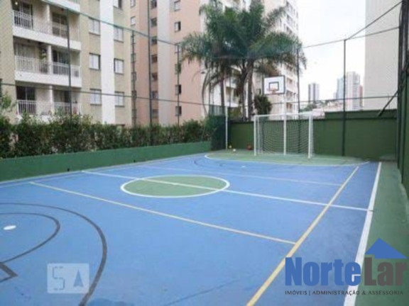 Imagem Apartamento com 3 Quartos à Venda, 64 m² em Vila Guilherme - São Paulo